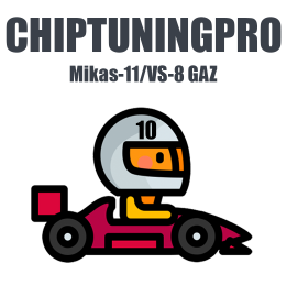 ChipTuningPro GAZ Mikas-11/VS‑8 [010] module