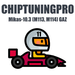 ChipTuningPro GAZ Mikas-10.3 (M113, M114) [011] module