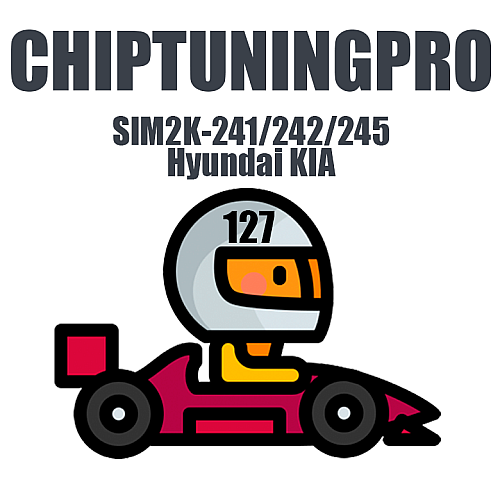 ChipTuningPRO HK SIM2K-241/242/245 [127] module