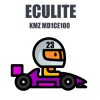 Module 23. KMZ MD1CE100 (ECULite)