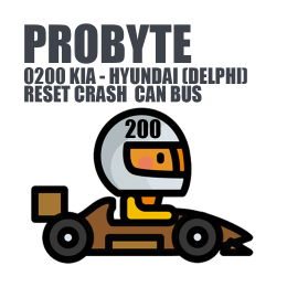 Module 0200. KIA - HYUNDAI (DELPHI) RESET CRASH CAN BUS (ProByte)