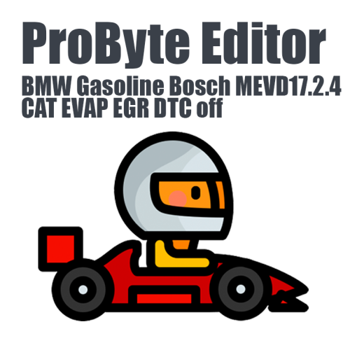 BMW Gasoline Bosch MEVD17.2.4 CAT EVAP EGR DTC off ProByte Editor module