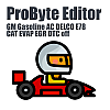 GM Gasoline ACDELCO E78 CAT EVAP EGR DTC ProByte Editor module