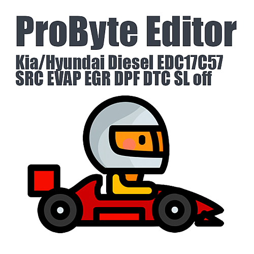 Kia/Hyundai Diesel Bosch EDC17C57 SRC EVAP EGR DPF DTC SL ProByte Editor module