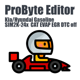 Kia/Hyundai Gasoline SIM2K-24x  CAT EVAP EGR DTC off ProByte Editor module