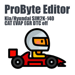 Kia/Hyundai SIM2K-140 CAT EVAP EGR DTC off ProByte Editor module