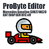 Mercedes Gasoline SIM271KE20 CAT EVAP EGR DTC ProByte Editor module