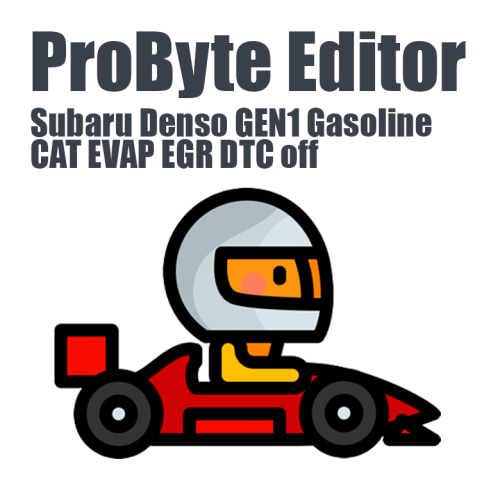 Subaru Denso GEN1 Gasoline CAT EVAP EGR DTC off ProByte Editor module