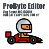 Vag Bosch MG1CS001 EGR CAT EVAP FLAPS DTC off ProByte Editor module