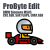 BMW Siemens MS45 (CAT, EGR, SAP, FLAPS, EVAP, EGR) (ProByte Edit)