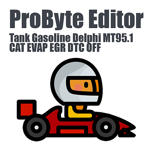 China Car Tank Gasoline Delphi MT95.1 (CAT, EVAP, EGR, DTC OFF) (ProByte Edit)