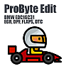 BMW EDC16C31 (EGR, DPF, FLAPS, DTC) (ProByte Edit)
