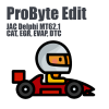 JAC Delphi MT62.1 (CAT, EGR, EVAP, DTC) (ProByte Edit)