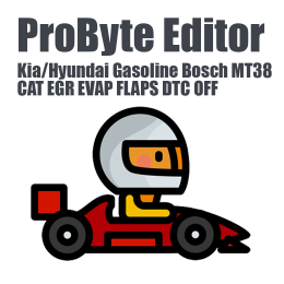 Kia/Hyundai Gasoline Bosch MT38 (CAT EGR EVAP FLAPS DTC OFF)