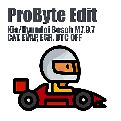 Kia/Hyundai Bosch M7.9.7 (CAT, EVAP, EGR, DTC) (ProByte Edit)