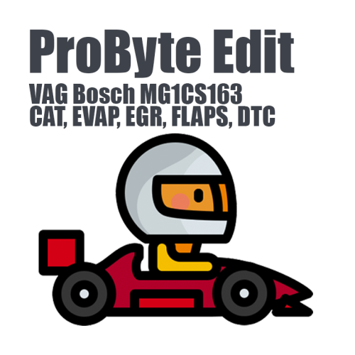 VAG Bosch MG1CS163 for ProByte Edit (CAT, EVAP, EGR, FLAPS, DTC)