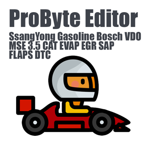 SsangYong Gasoline Bosch VDO MSE 3.5 (CAT EVAP EGR SAP FLAPS DTC)