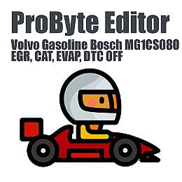 Volvo Gasoline Bosch MG1CS080 (EGR, CAT, EVAP, DTC) (ProByte Edit)