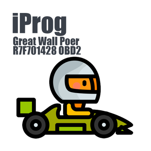 Great Wall Poer R7F701428 (OBD2)