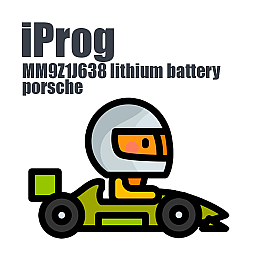 MM9Z1J638 lithium battery porsche