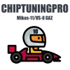 ChipTuningPro GAZ Mikas-11/VS‑8 [010] module