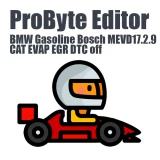 BMW Gasoline Bosch MEVD17.2.9 CAT EVAP EGR DTC off ProByte Editor module