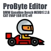 BMW Gasoline Bosch MEVD17.2.G CAT EVAP EGR DTC off ProByte Editor module