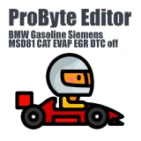 BMW Gasoline Siemens MSD81 CAT EVAP EGR DTC off ProByte Editor module