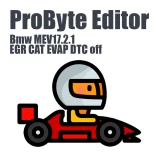 Bmw MEV17.2.1 EGR CAT EVAP DTC off ProByte Editor module