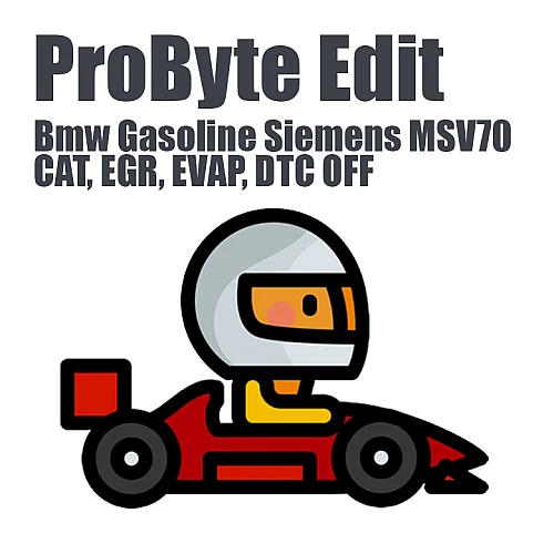 BMW Gasoline Siemens MSV70 (CAT, EGR, EVAP, DTC OFF) (ProByte Edit)