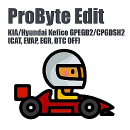 KIA/Hyundai Gasoline Kefico GPEGD2/CPGDSH2 (CAT, EVAP, EGR, DTC OFF) (ProByte Edit)