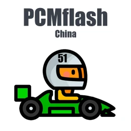 Module 51. China (PCMflash)