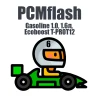 Module 6. Petrol engines 1.0, 1.6л, Ecoboost T-PROT12 (PCMflash)
